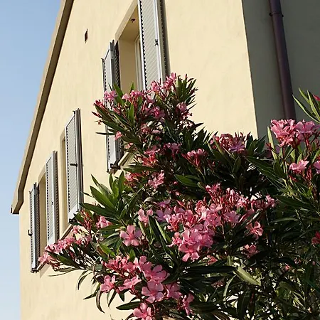 Летний дом Casa Di Campagna