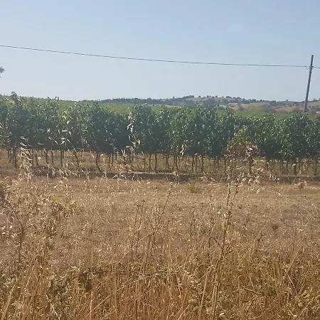 Casa Di Campagna * Pancole
